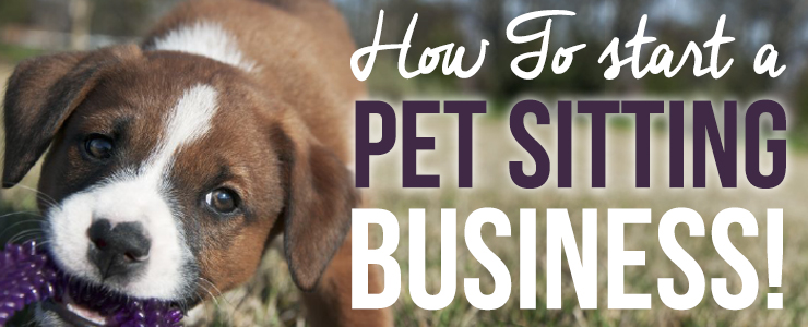 How to start a pet sitting business